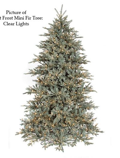 Frost Mini Fir Christmas Tree For Christmas 2014