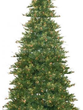 Vickerman A801696 14 x 85 Slim Mixed Country Pine 2700CL (Christmas Tree)