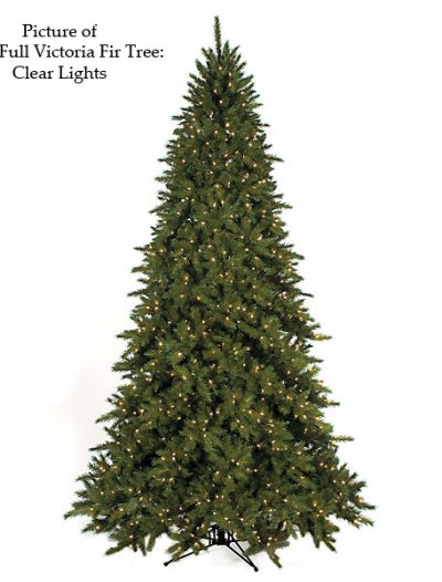 Full Victoria Fir Christmas Tree For Christmas 2014