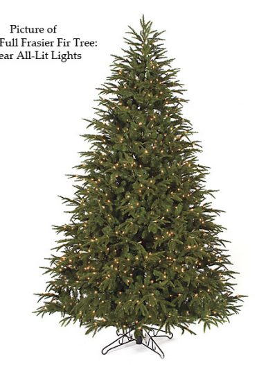 Full Frasier Fir Christmas Tree For Christmas 2014