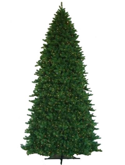 Vickerman G125313LED 12' x 82" Teton Residential 2100WmWhiteLED (Christmas Tree)