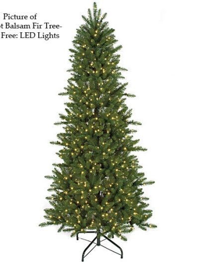 Fluff Free Slim Balsam Fir Christmas Tree For Christmas 2014