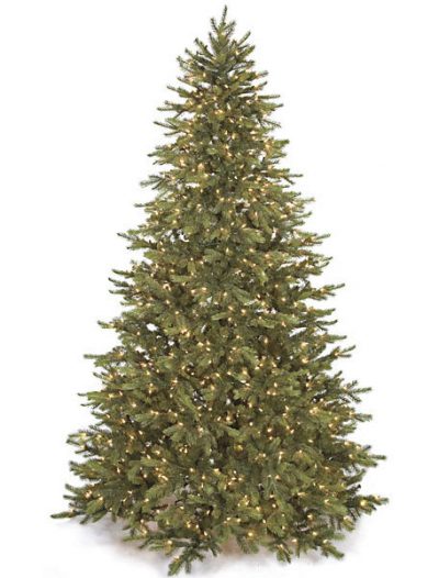 Mountain Fir Christmas Tree For Christmas 2014