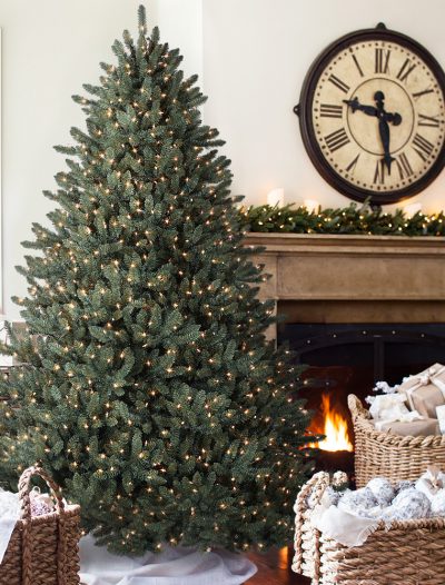 6.5' Balsam Hill Blue Spruce Artificial Christmas Tree - Clear (Christmas Tree)