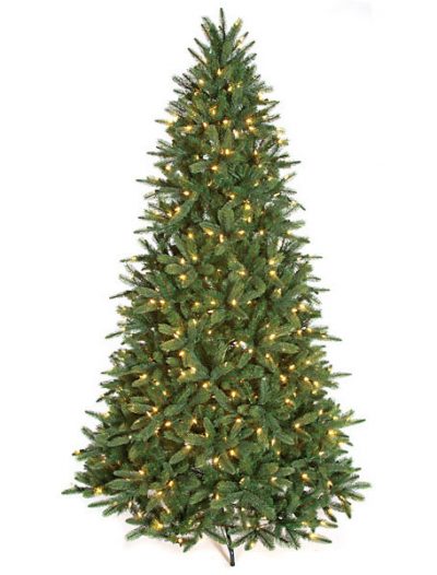 Kennedy Fir Christmas Tree For Christmas 2014