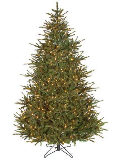 Elizabeth Pine Christmas Tree For Christmas 2014