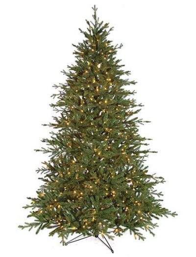Caroline Fir Christmas Tree For Christmas 2014