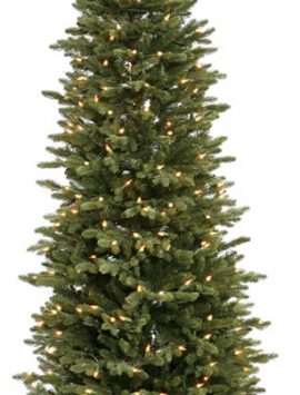 Vickerman 22700 - 6' x 31" Ottawa 300 Clear Lights Christmas Tree (D113461) (Christmas Tree)