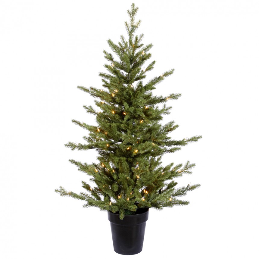 Cason Fraiser Fir Christmas Tree For Christmas 2014