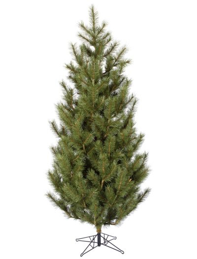 Cayote Pine Christmas Tree For Christmas 2014
