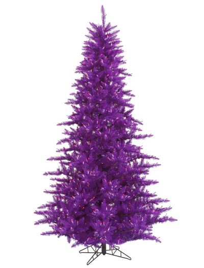 Purple Fir Christmas Tree For Christmas 2014