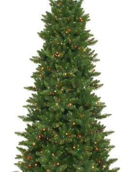 Vickerman A860882 8.5 x 50 Camdon Slim 1838T 800MU (Christmas Tree)