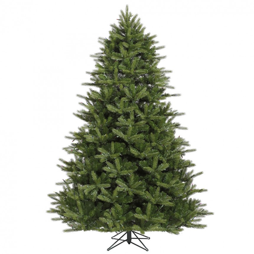 Full Majestic Frasier Fir Christmas Tree For Christmas 2014