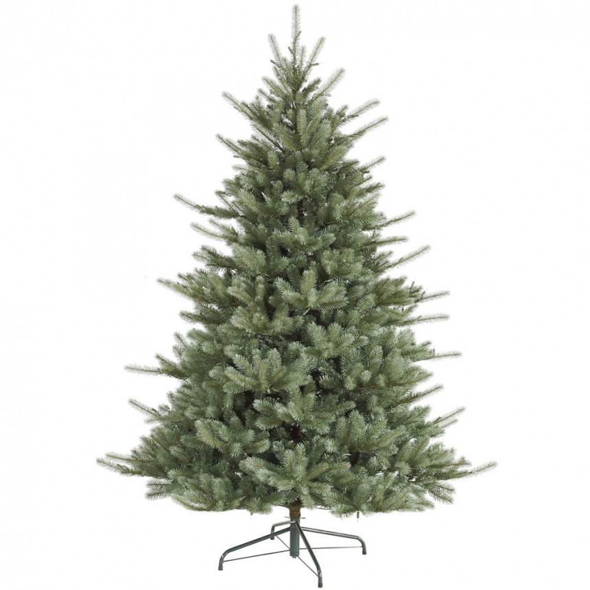 Full Colorado Blue Spruce Christmas Tree For Christmas 2014