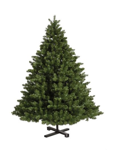 Full Grand Teton Christmas Tree For Christmas 2014