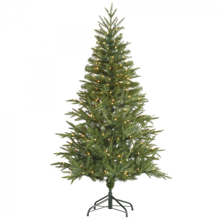 Mixed Pine Fir Christmas Tree For Christmas 2014