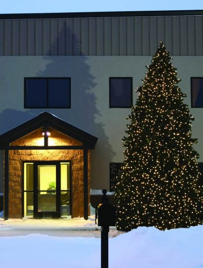 Grand Teton Outdoor Commercial Christmas Tree For Christmas 2014