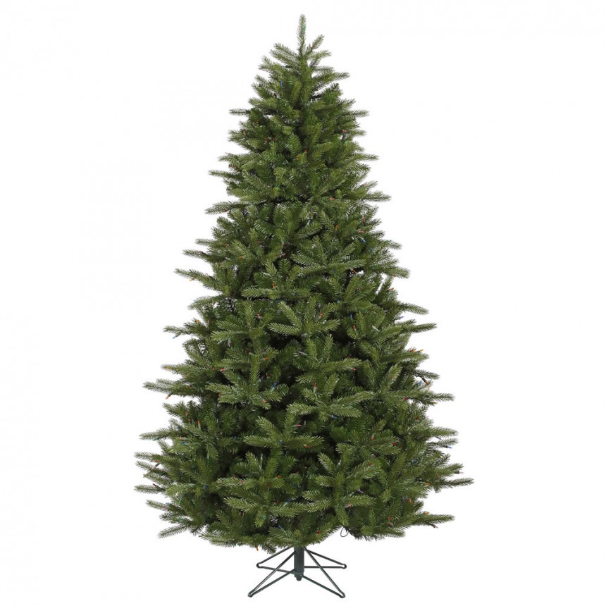Majestic Frasier Fir Christmas Tree For Christmas 2014