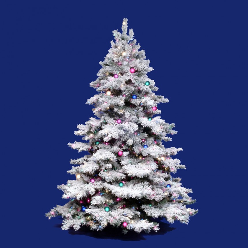 Flocked Alaskan Christmas Tree For Christmas 2014