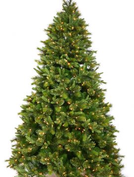 Vickerman A118296LED 15' x 106" Cashmere Pine Led 3850WmWhite (Christmas Tree)