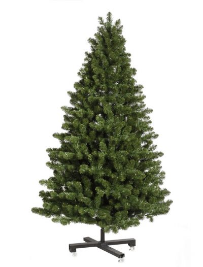 Medium Grand Teton Christmas Tree For Christmas 2014
