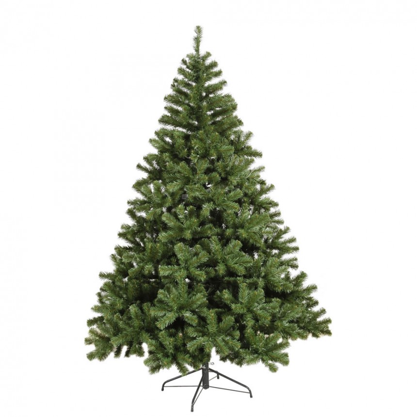 Fairfax Spruce Christmas Tree For Christmas 2014