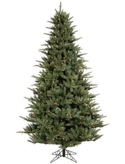 Catalina Frasier Fir Christmas Tree For Christmas 2014