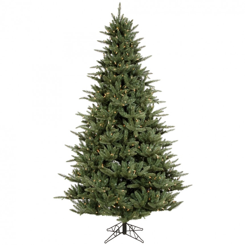 Catalina Frasier Fir Christmas Tree For Christmas 2014
