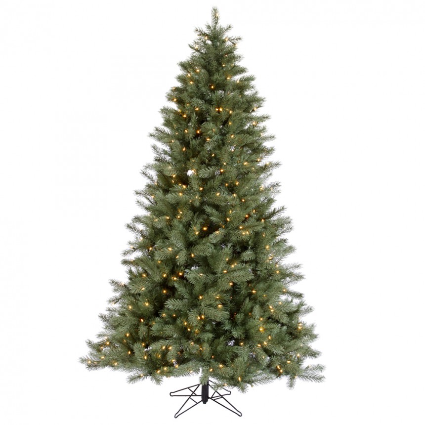 Blue Albany Spruce Christmas Tree For Christmas 2014