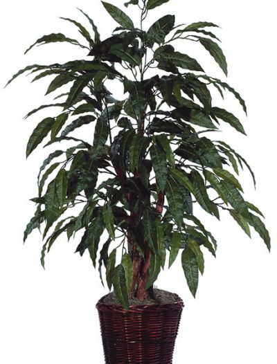 Vickerman Co. Deluxe 4' Artificial Potted Natural Mango Tree in Green (Christmas Tree)