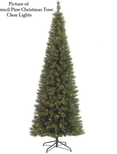 Pencil Pine Christmas Tree For Christmas 2014