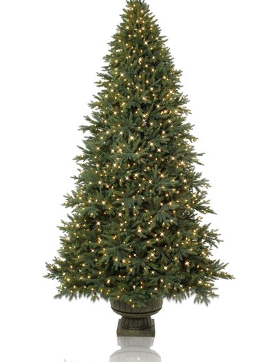 Aspen Christmas Signature 4' Colorado Spruce Potted Christmas Tree (Christmas Tree)