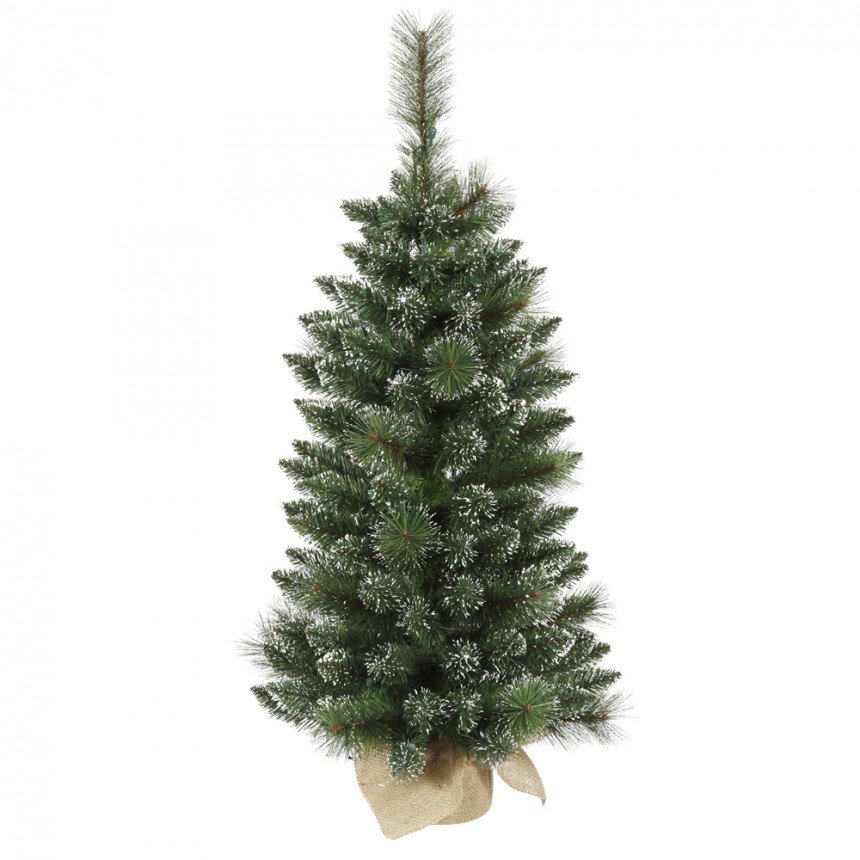 Mixed Snow Tip Pine Christmas Tree For Christmas 2014