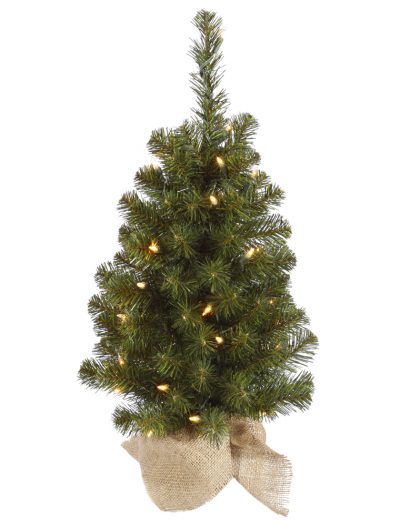 Felton Pine Christmas Tree For Christmas 2014