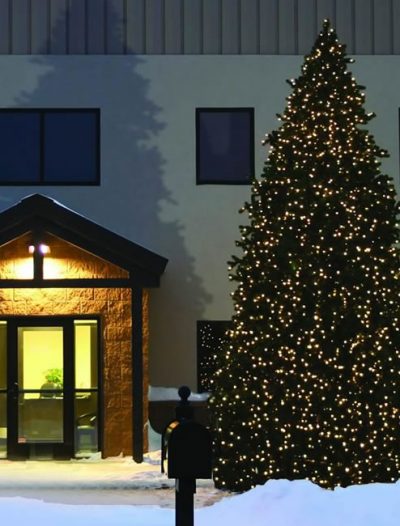 Vickerman E889216 16.5 ft. x 99 in. LED C7 Teton 804WmWht 12151T (Christmas Tree)