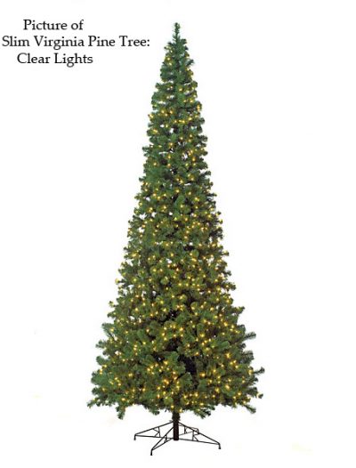 Slim Virginia Pine Christmas Tree For Christmas 2014