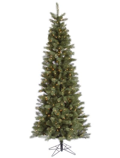 Slim Blue Albany Spruce Christmas Tree For Christmas 2014