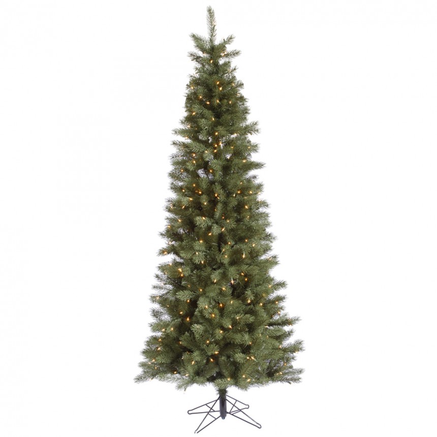 Slim Blue Albany Spruce Christmas Tree For Christmas 2014