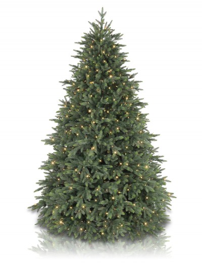 Aspen Christmas Signature Centennial 7' Fir Artificial Christmas Tree Light Color: Clear (Christmas Tree)