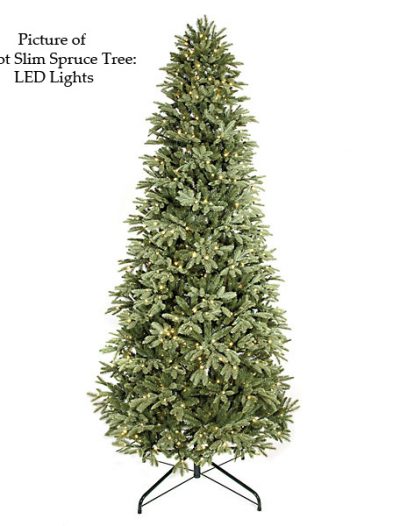 Slim Spruce Christmas Tree For Christmas 2014