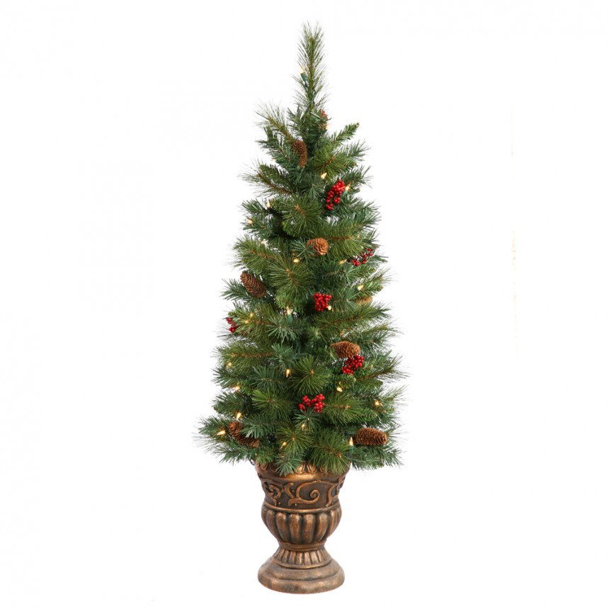 Potted Judson Mixed Pine Christmas Tree For Christmas 2014