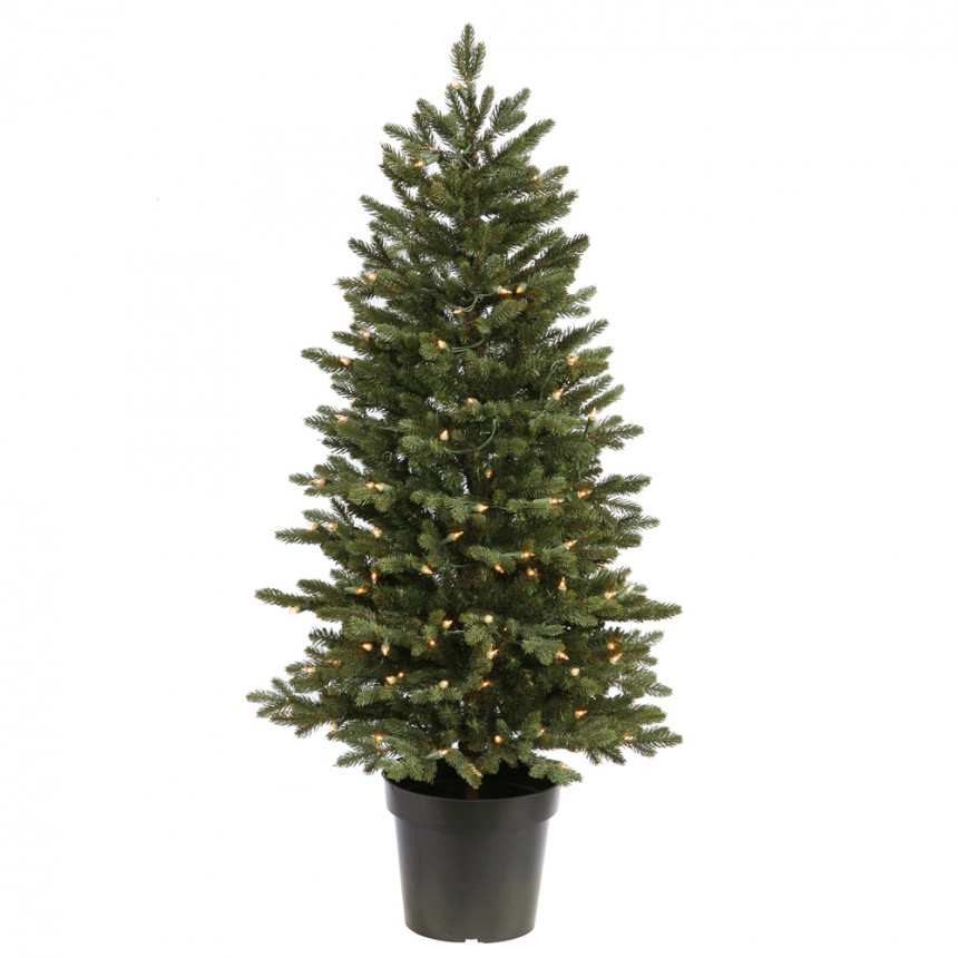 Potted Ottawa Dura-Lit Christmas Tree For Christmas 2014