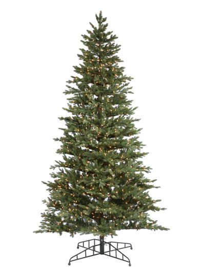 Waseca Frasier Christmas Tree For Christmas 2014