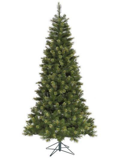 Slim Jack Pine Christmas Tree For Christmas 2014