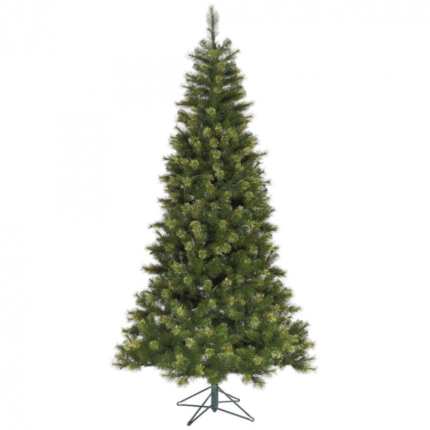 Slim Jack Pine Christmas Tree For Christmas 2014