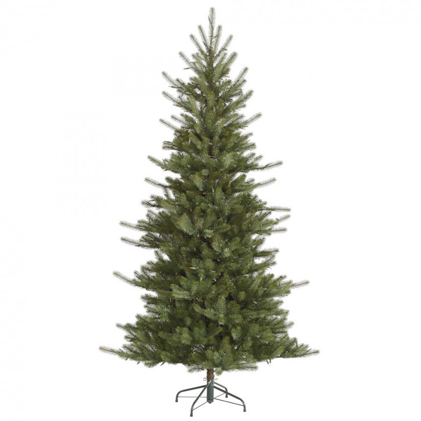 Medium Colorado Spruce Christmas Tree For Christmas 2014