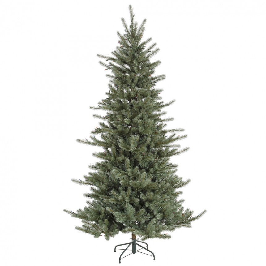 Medium Colorado Blue Spruce Christmas Tree For Christmas 2014