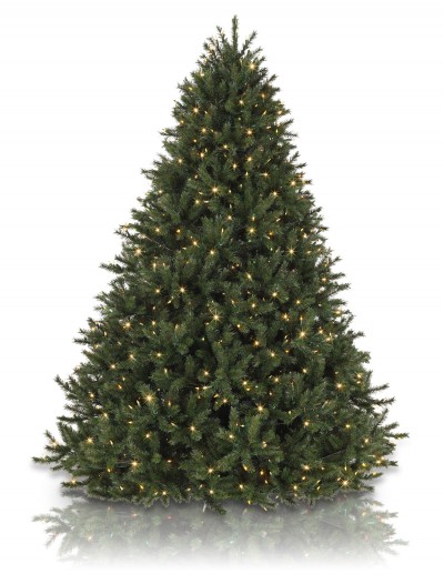 Classics 5.5' Rocky Mountain Pine Artificial Christmas Tree Light Color: Clear (Christmas Tree)