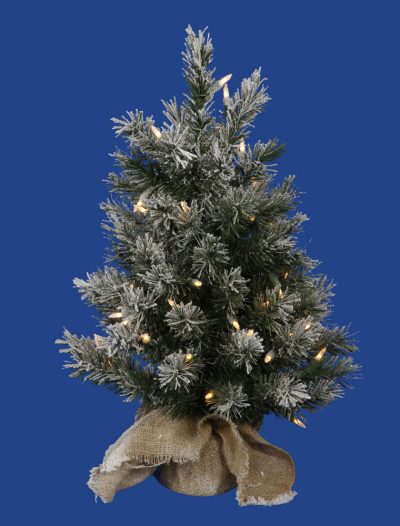 24 inch Frosted Jackson Christmas Tree with Clear Lights For Christmas 2014