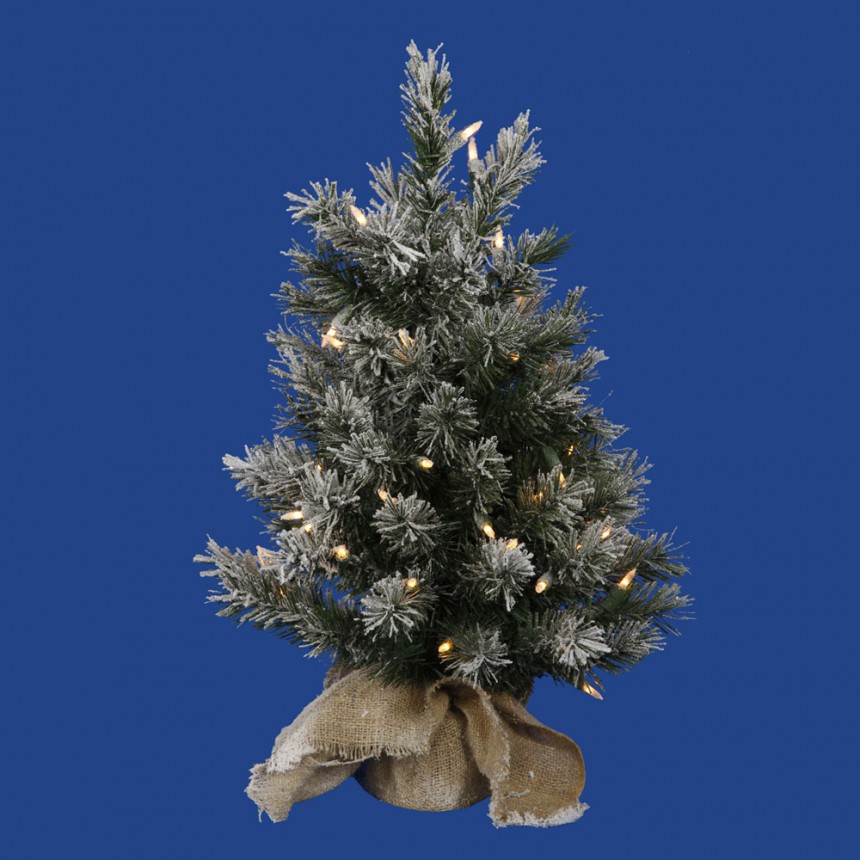 24 inch Frosted Jackson Christmas Tree with Clear Lights For Christmas 2014